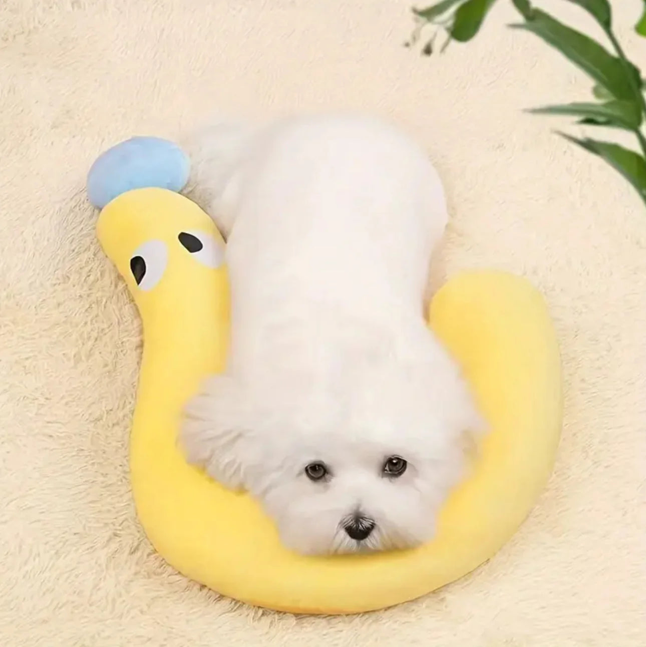 Question Dog Pillow